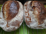 Félbarna kenyér- kovászos 1kg /ÉMFF Alapítvány-Zolnai Éva önkéntes/