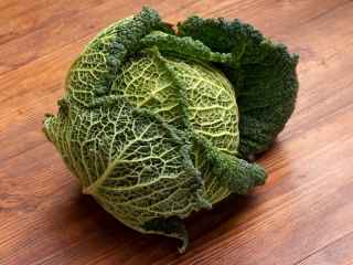 Bio Kelkáposzta (Erdődi Biokertészet)